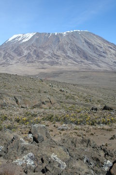 kilimanjaro kibo peak over plateau 1
