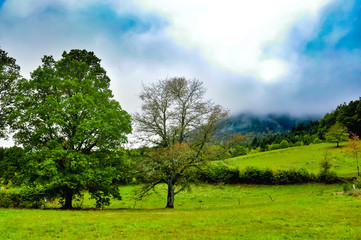 Fototapeta premium Landscape mountain