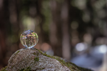 the concept of nature, green forest. Crystal ball on a wooden stump with leaves. Glass ball on a wooden stump covered with moss.