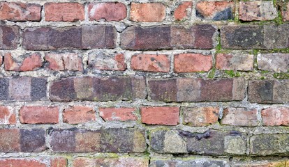 Obraz premium Old brick wall background