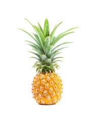 fresh pineapple on white background, tropical summer concept