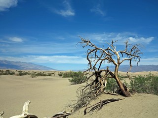 Death valley Californian desert