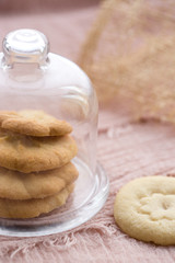 peanut biscuit background