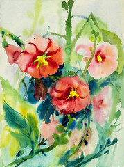 Watercolor painting  original on paper colorful of beauty flowers.