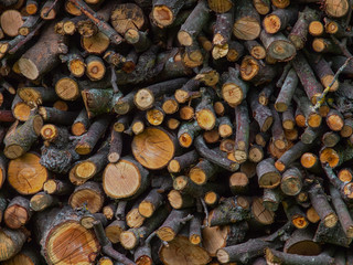 Wintervorrat Holzstappel