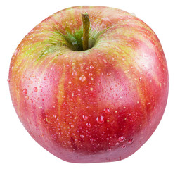 Ripe red apple with water drops on it.