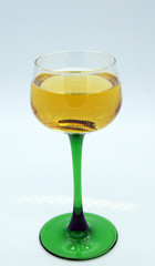 Glas Wein auf weißem Hintergrund