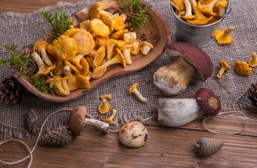 Wild fresh mushrooms on a rustic wooden table. Chanterelles, boletus, russula. Copyspace. Autumn background