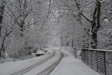 zima śnieg krajobraz drzewa droga