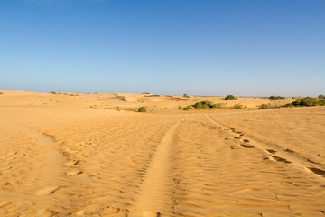 Fototapeta na wymiar désert de Lompoul 
