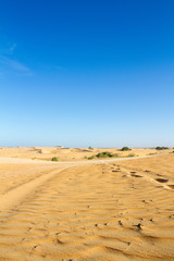 Fototapeta na wymiar désert de Lompoul 
