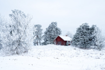 Farm barn in a cold winter landscape with snow and frost