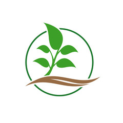 Tree logo template. Abstract young green tree.