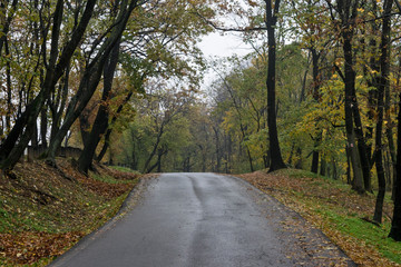 Obraz premium Kosutnjak Park
