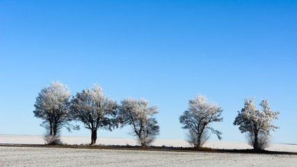 Winter
