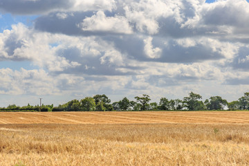 Suffolk Farmland