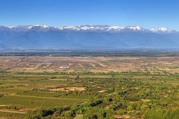 Naklejka premium View of Alazani valley, Kakheti, Georgia