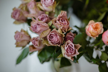 Stylish powder colors of flowers and sweets
