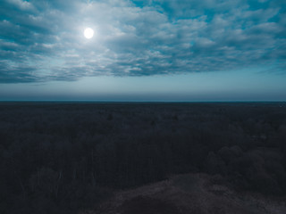 landscape overview of forest in the night