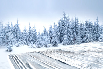 desk space and winter forest 