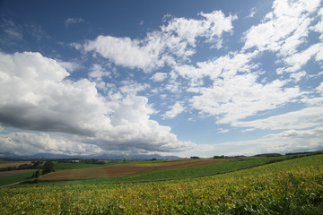 北海道の風景