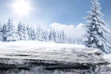 desk of free space and forest of window 