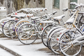 雪が積もった自転車