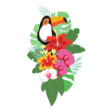 tropical flowers and toucan