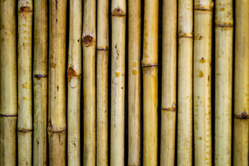 Fototapeta premium bamboo wall texture background., close up.