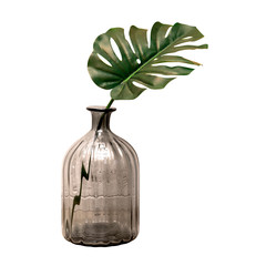 gray glass vase and big green leaf. isolated white background