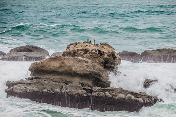 biarritz france landscape beach ocean