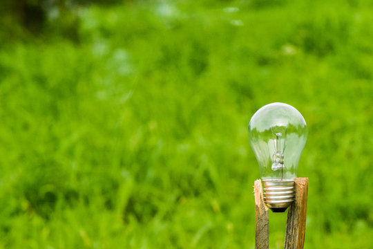 A bulb on a green background, the concept of biological problems, pollution of natural areas