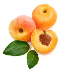 Fresh apricots in section with green leaves still life of ripe