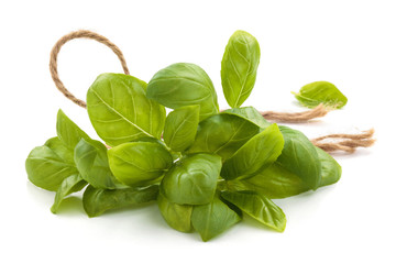 Fresh herbs on white.