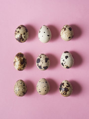 Quail eggs on pink background. Shot from above. Easter conception