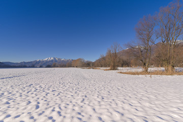 Fototapeta na wymiar Prato innevato in inverno con alberi sulla destra