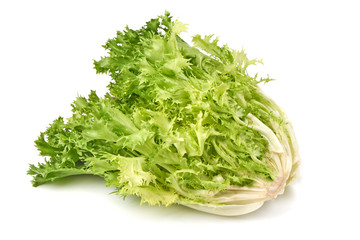 Fototapeta premium Fresh Romain Lettuce. Crispy endive. close-up, isolated on white background.