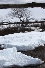 Тающий снег за полярным кругом.