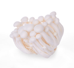 White beech mushrooms or Shimeji mushroom isolated on white background