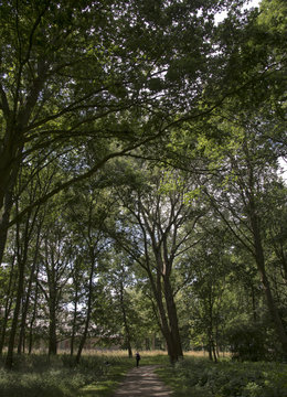 Chemin dans le camp de concentration de Neuengamme, Hambourg, Allemagne