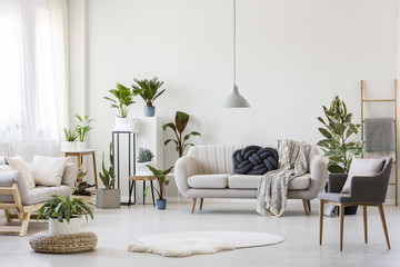 Bright living room interior