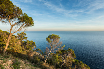 Coast landscape sunset of Costa Brava, Spain.