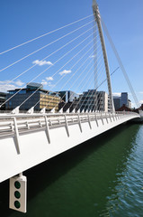 The Samuel Beckett Bridge on the south bank of the River Liffey in central Dublin, Ireland.