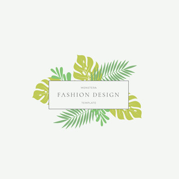 Monstera Tropical Leaves Fashion Sign or Logo Template. Abstract Green Foliage with Rectangle Border and Classy Typography. Pastel Colors.