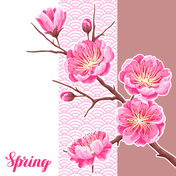 Spring background with sakura or cherry blossom. Floral japanese ornament of blooming flowers
