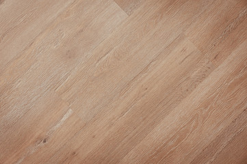 Wood texture. Wood texture for design and decoration