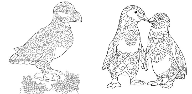Coloring Page. Adult Coloring Book. Puffin, seabird of North Pacific and Atlantic Oceans. Emperor Penguins couple in love. Antistress freehand sketch collection with doodle and zentangle elements.
