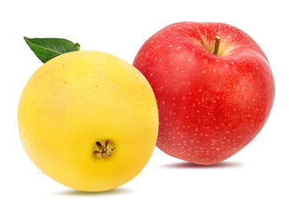 Fresh apple isolated on white background with clipping path