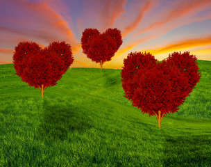 red heart-shaped trees on a spring field, concept of love and valentine's day