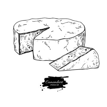 Camembert cheese block and triangle drawing. Vector hand drawn food sketch.